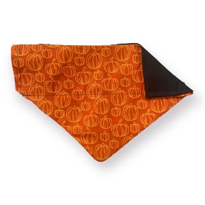Golden Pumpkins | Over the Collar Dog Bandana | Personalized | Reversible