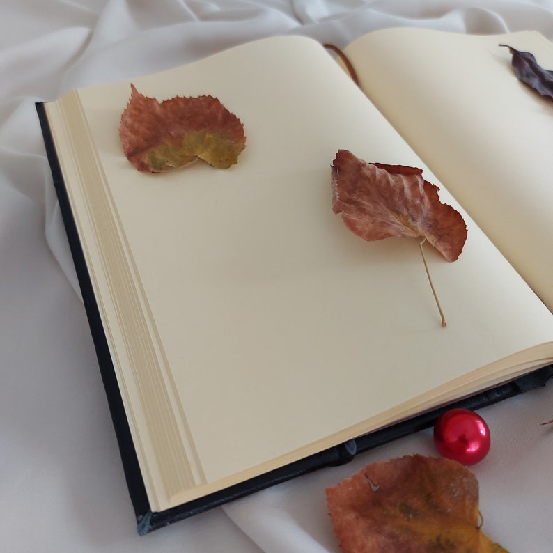 Locked Genuine Leather Notebook Diary Unlined Pages Handmade Etsy