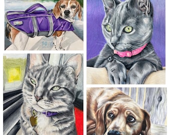 Custom Colored Pencil Pet Portrait From Photo