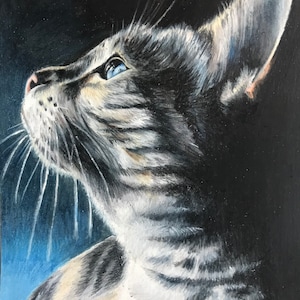 Custom Colored Pencil Pet Portrait From Photo