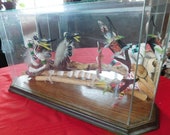 Kachina Doll Rasping stick Carving by Juan Aguino