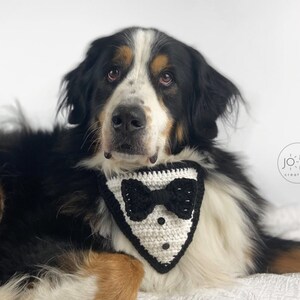 Tuxedo Dog Bandana Crochet Pattern image 7