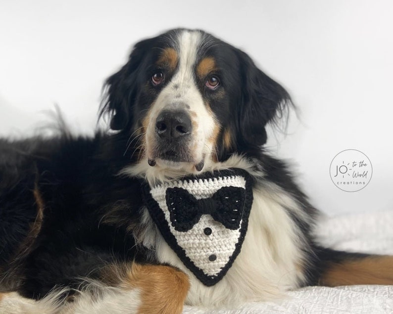 Tuxedo Dog Bandana Crochet Pattern image 7