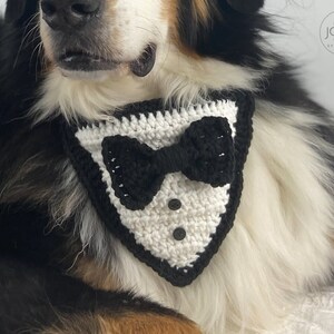 Tuxedo Dog Bandana Crochet Pattern image 3