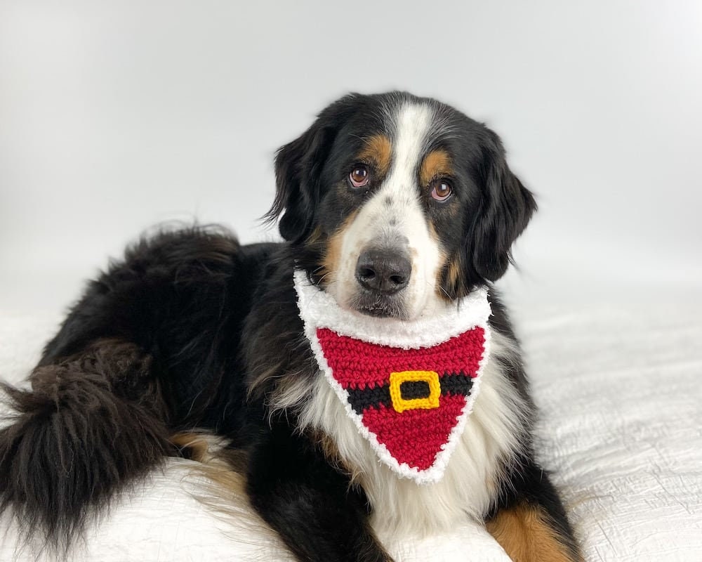 40 Dog Crochet Patterns for Amigurumi, Wearables, and Giftable Makes 12 Christmas Dog Bandana Crochet