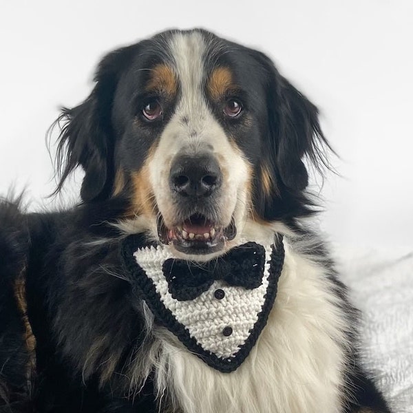 Tuxedo Dog Bandana Crochet Pattern