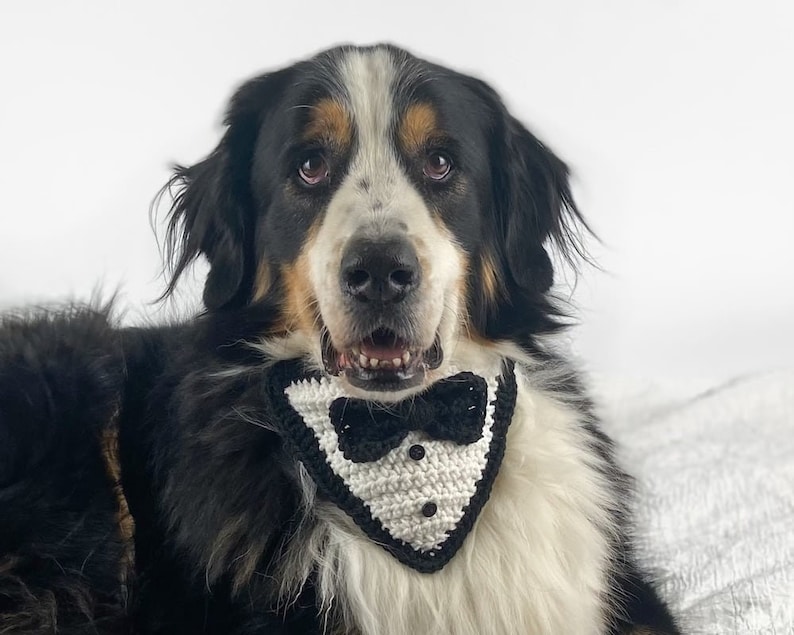 Tuxedo Dog Bandana Crochet Pattern image 1