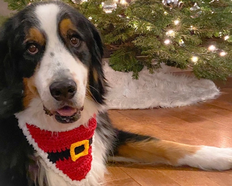 Christmas Dog Bandana Crochet Pattern image 5