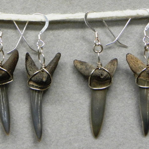 Fossil Shark Tooth Earrings earrings / Custom Jewelry / Sterling Silver or Gold Filled