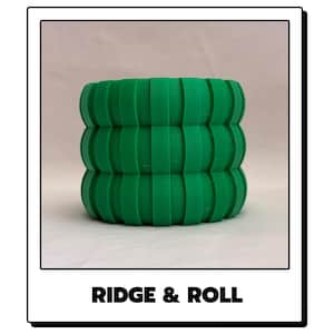 May include: A cylindrical green object with a repeating vertical ridge pattern and three distinct horizontal sections. The text RIDGE & ROLL is printed in black capital letters at the bottom of the white frame surrounding the object.