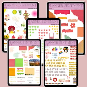 Op de afbeelding: Een set digitale planner stickers met verschillende zomerse ontwerpen, waaronder sterren, watermeloen, ijs en een regenboogvlag. De stickers zijn in verschillende kleuren, waaronder roze, groen, geel en blauw. De tekst "Planner Sentiments" staat op elk van de vier digitale plannerpagina's.