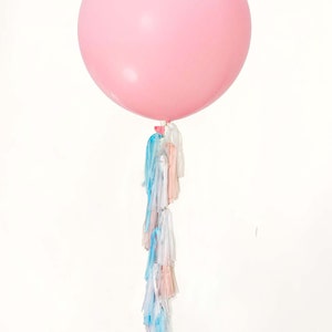 Gender Reveal Pastel DIY Paper Tassel Garland Kit with 20 Tassels, Pink and Blue Paper Tassel Tails Kit, Baby Shower Tissue Tassel Garland