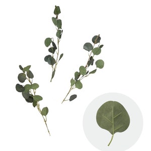 Eucalyptus Leaves Branches 10-Pack, Artificial Greenery for Your Bridal Shower or Party, Faux Green Leaves, Balloon Decorations, Party Decor