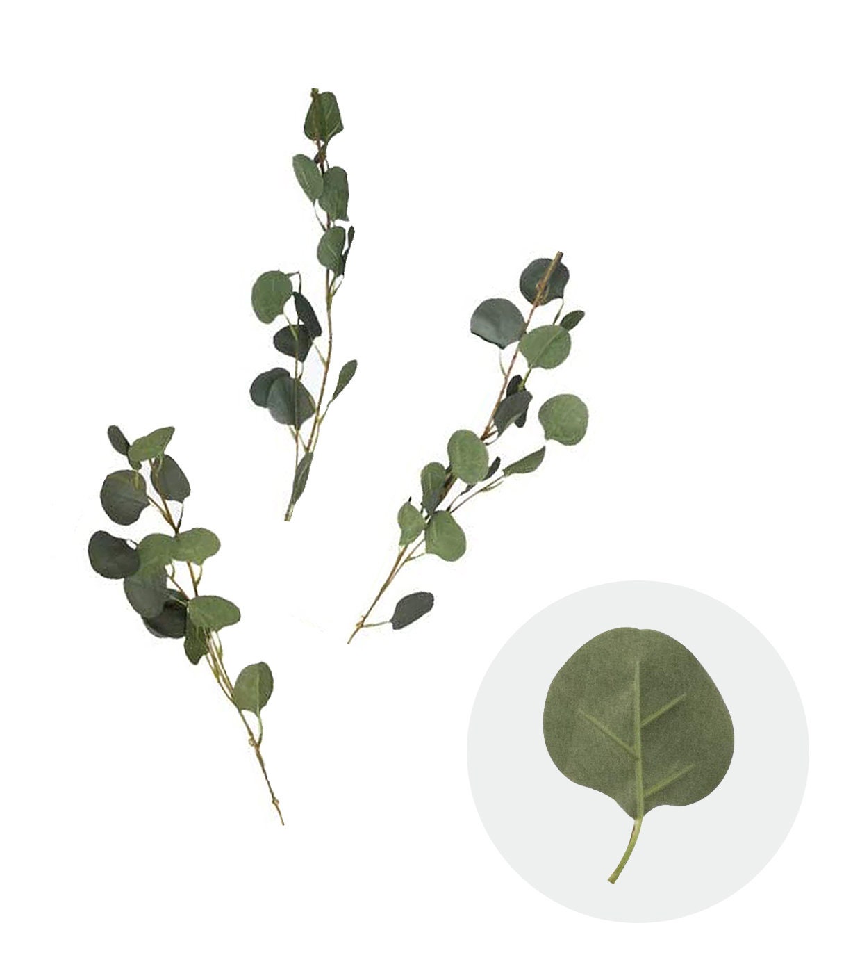 Eucalyptus Leaves Branches 10-Pack, Artificial Greenery for Your Bridal Shower or Party, Faux Green Leaves, Balloon Decorations, Party Decor