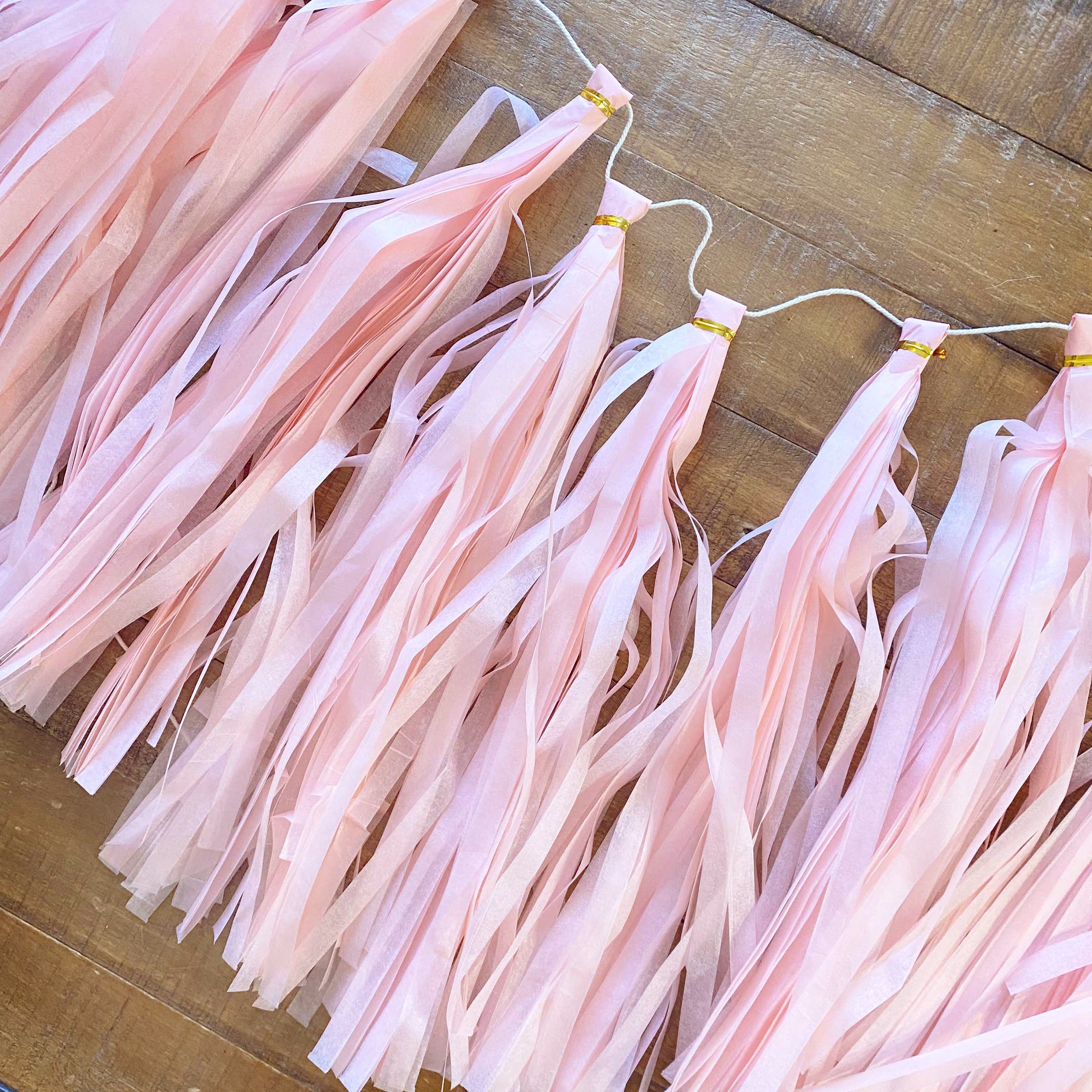 Tissue Paper Balloon Tassel - Light Pink – Partyloving
