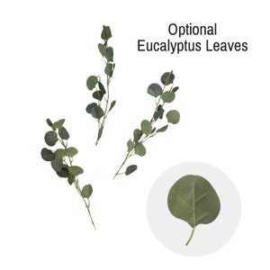 Puede incluir: Tres ramitas de hojas de eucalipto, con una sola hoja aislada sobre un fondo blanco. Hojas de eucalipto opcionales.