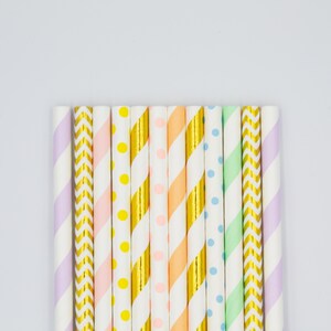 Pastel Rainbow Paper Straws, Set of 12 Pastel Paper Straws, Pastel Drinkware, Disposable Straws, Easter, Spring, Pastel Party Supplies