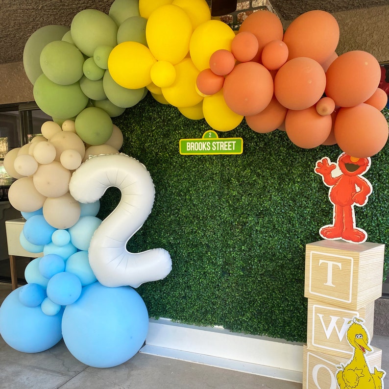 Kit de arco de globos personalizado para fiestas de segundo cumpleaños, kit de guirnalda de globos personalizada para segundo cumpleaños, globos para cumpleaños de niño o niña de dos años imagen 5