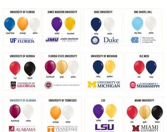 Custom Graduation 2026 Balloon Bouquet, Custom Balloon Pack with 10 Balloons, Custom Graduation Party 2026 Decorations