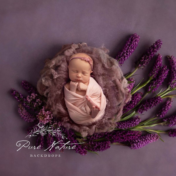 Newborn Digital Backdrop with Purple Flowers From Real Garden