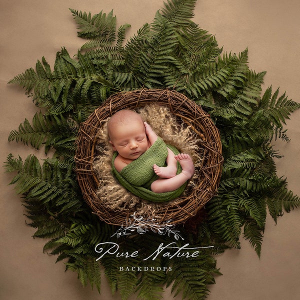 Newborn Digital Backdrop, Newborn Digital with Fern, Newborn Jungle Backdrop, Newborn Nest Digital Prop