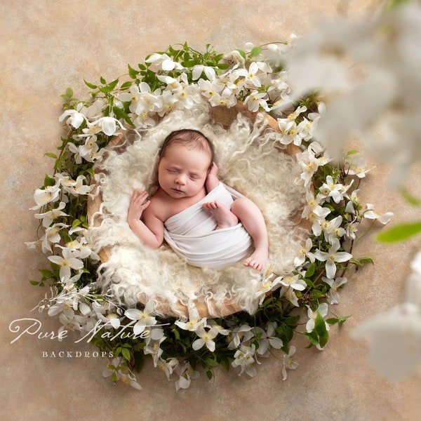 Newborn Digital Backdrop with Flower Nest Prefect for Boy and Girl