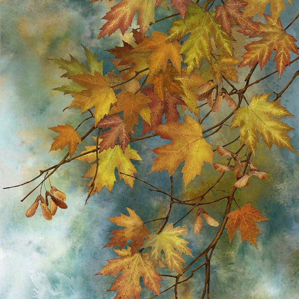 Autumn Splendor - Panel