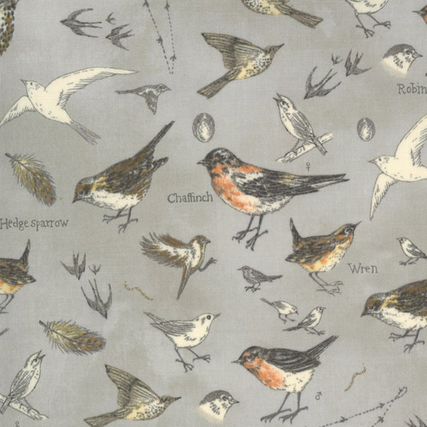 Botanicals - Oiseaux Vintage Grey par Janet Clare