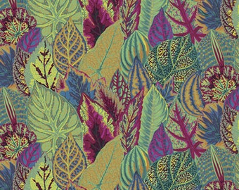 Kaffe Fassett Coleus moos von Philip Jacobs