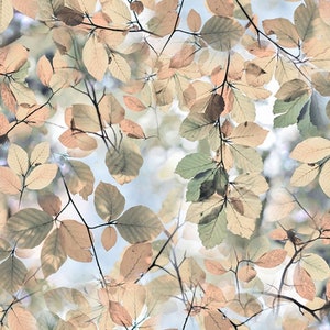 autumn leaves - Serene Daydream - patchwork fabric