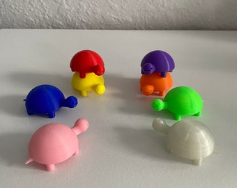 Adorable Tiny Little Turtles