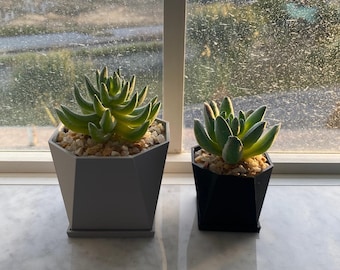 Octagon Succulent Planter Pot With Drainage Holes