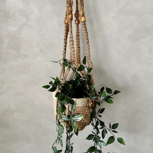 May include: A hanging macrame plant holder with wooden beads, holding a potted green plant with trailing vines.