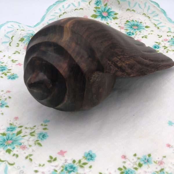 Sea Shell Sculpture - Etsy