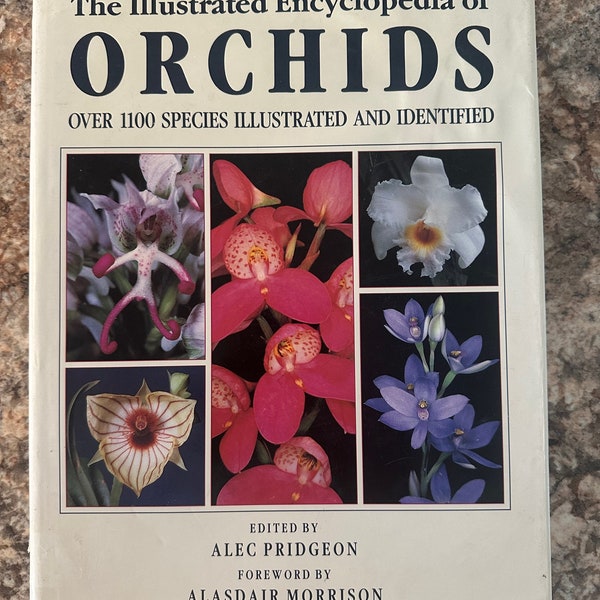 Vintage 1992, 2001 Printing, Illustrated Encyclopedia of Orchids, Alec Pridgeon, 304 Pages, 1100 Species, Hardcover, Dustjacket, Royal Hort