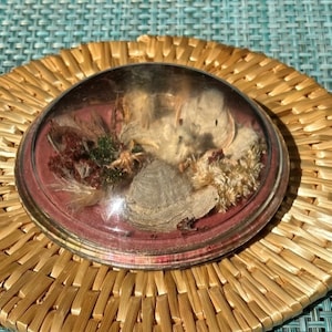 May include: A glass dome with a silver rim sits on a woven straw mat. Inside the dome, there are dried flowers and feathers.