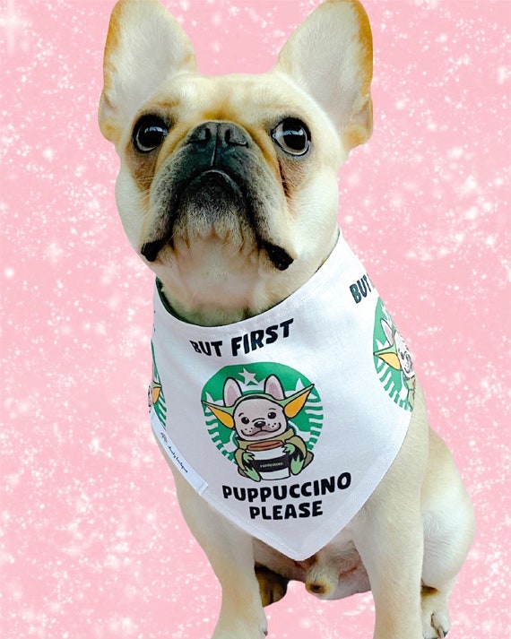 frenchie bandana