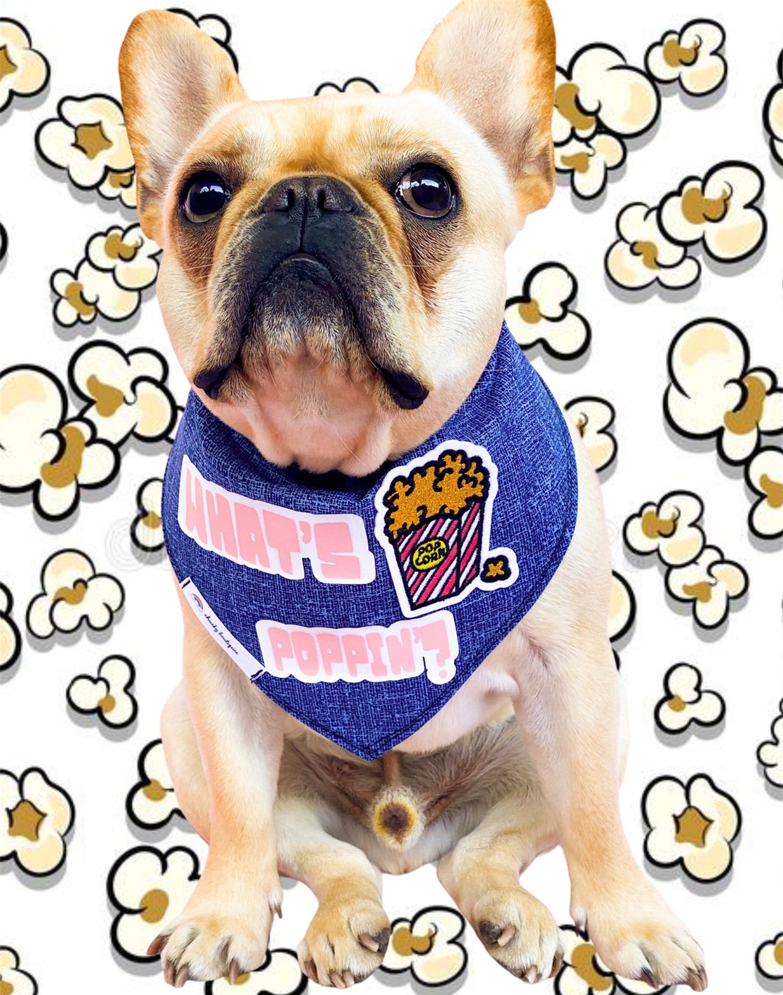 Dog bandana/popcorn/popcorn bandana /French bulldog / Custom Etsy