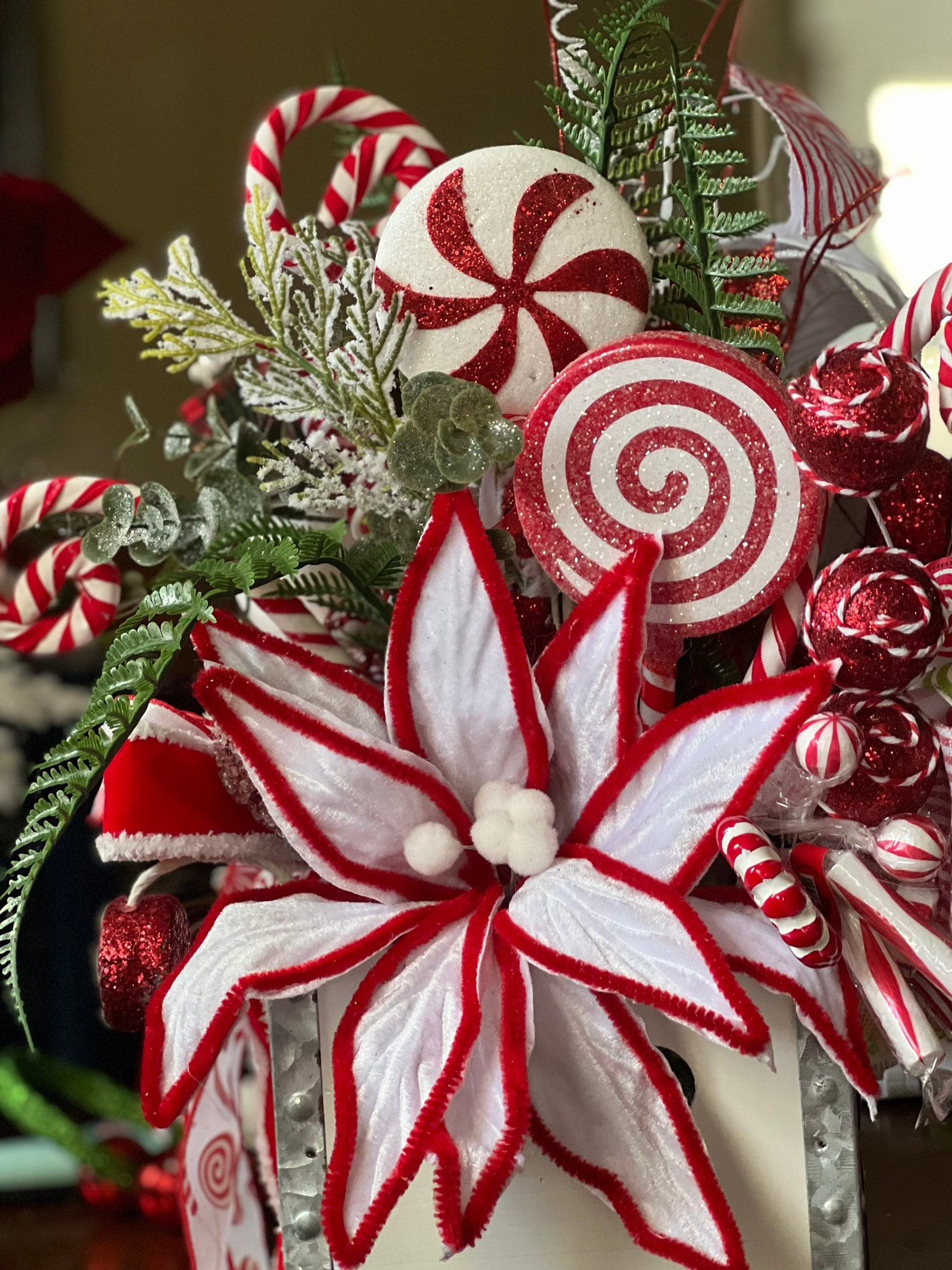 Candy Cane Dreams