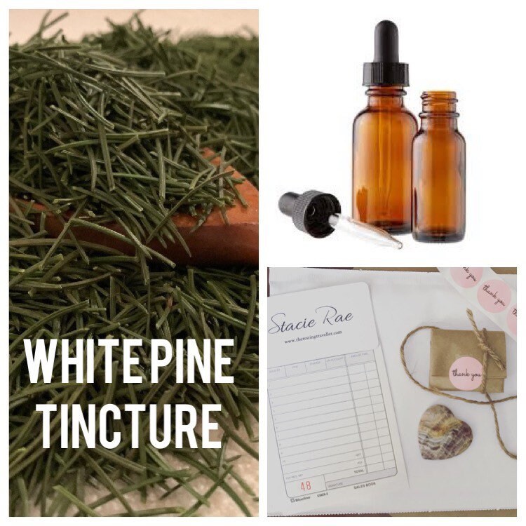 White Pine Needle Tincture PRE-ORDER loaded with vitamins and immune …