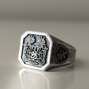 Personalized Coat of Arms Ring, Custom Family Crest Ring, Shield Ring, High School Graduation Gift, Heraldic Ring, Custom College Class Ring