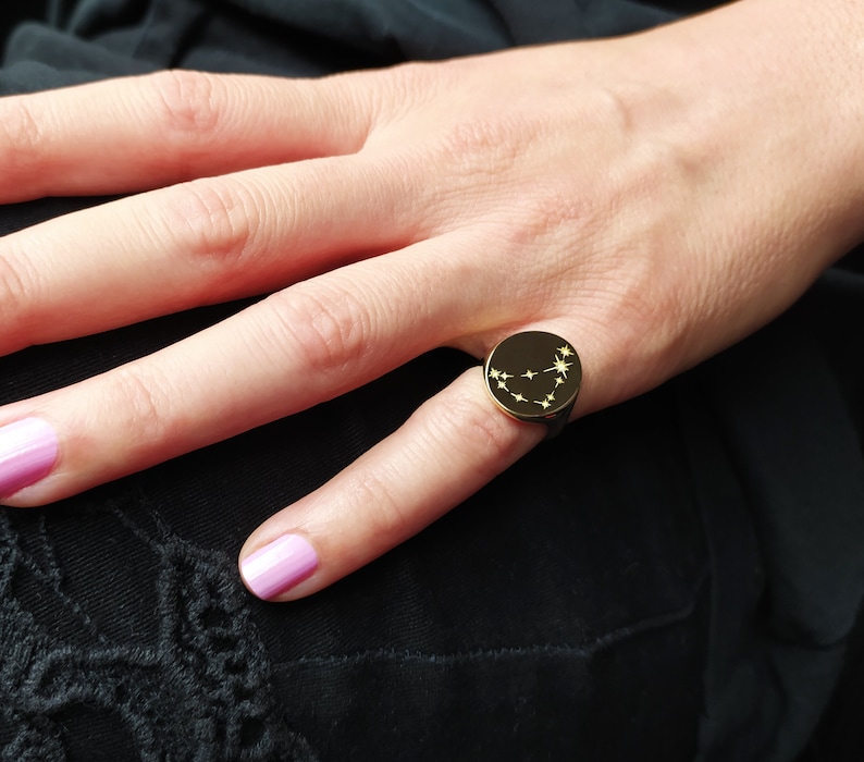 Zodiac Signet Ring, Constellation Ring, Astrological Sign Ring, Constellation Jewelry, Astrology Sign Ring, Zodiac Constellation Ring, Signs image 5