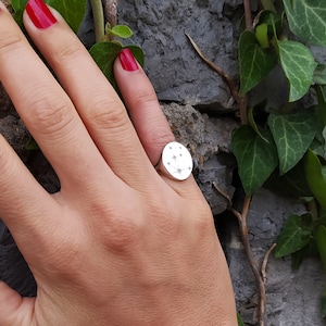 Zodiac Signet Ring, Constellation Ring, Astrological Sign Ring, Constellation Jewelry, Astrology Sign Ring, Zodiac Constellation Ring, Signs image 4