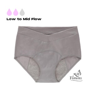 Flowies 3 PACK Boyshort Period Panties Period Underwear Eco Menstrual  Reusable Bladder Leakage Leakproof Cotton Briefs 