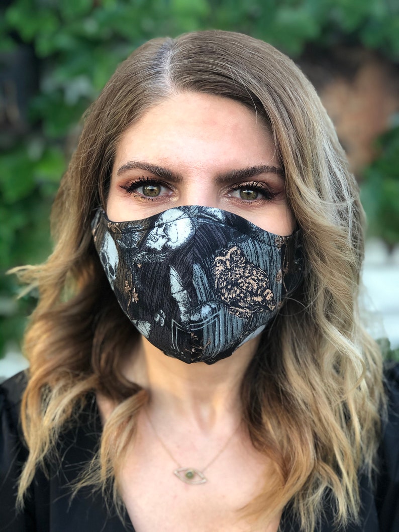 Owl and Skull Halloween Three Layer Face Mask With Filter Etsy