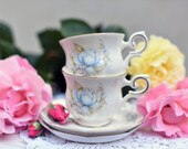 Vintage Royal Canterbury Blue Satsuma Cup and Saucer