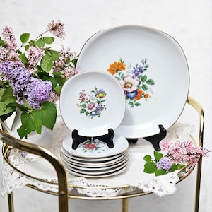 Bavaria Ceramic, Schwarzenhammer Porcelain Bowls Set 9 pezzi (1 piatto grande e 8 piatti piccoli). Motivo floreale.
