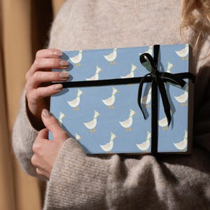 One Silly Goose Birthday Supplies, carta da regalo per il compleanno di Silly Goose unisex per bambini, forniture per la festa del primo compleanno, carta da regalo Goose