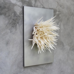 Neutral Wool Felt Wall Sculpture: 3D Fiber Art, Japandi Decor