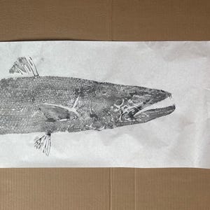Original Gyotaku Fish Print - Barracuda #3 - Unmounted